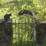 Chateau De Canac Bed & Breakfast