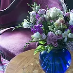 Bed & Breakfast Chateau De Canac