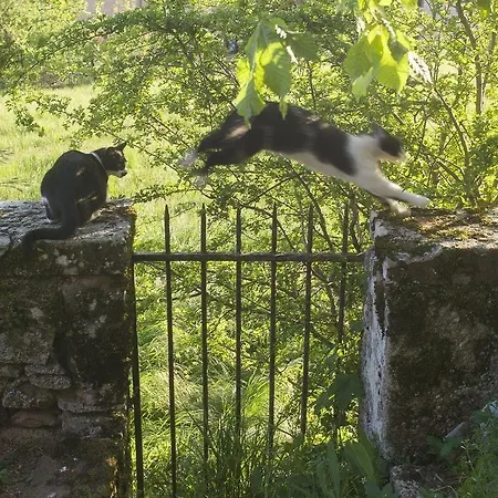 卡纳克城堡住宿加早餐旅馆 住宿加早餐酒店