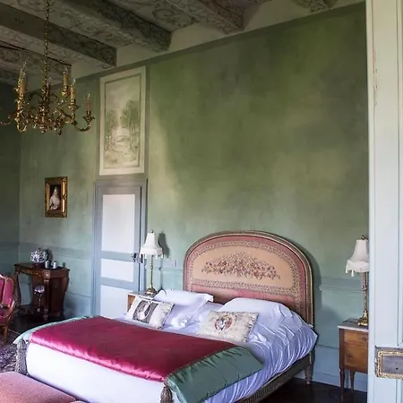 住宿加早餐酒店 卡纳克城堡住宿加早餐旅馆 3*