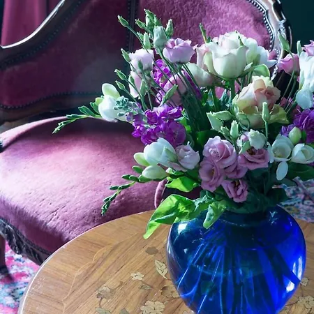 住宿加早餐酒店 卡纳克城堡住宿加早餐旅馆 3*